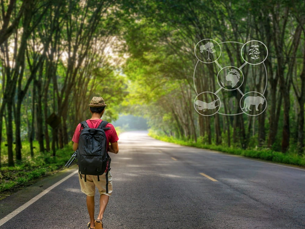 Safety Tips and Solo Journeys Made Confident